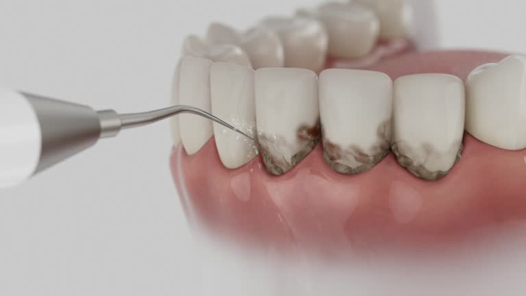 Reliable Dental contractor in Berlin, OH by Dentist Open Now